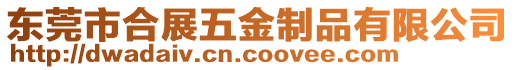 東莞市合展五金制品有限公司