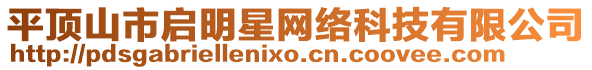 平頂山市啟明星網(wǎng)絡(luò)科技有限公司