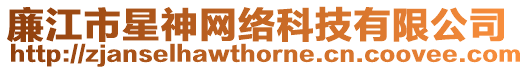 廉江市星神網絡科技有限公司