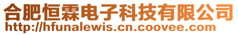 合肥恒霖電子科技有限公司