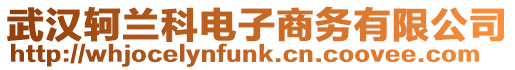 武漢軻蘭科電子商務(wù)有限公司