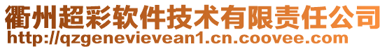 衢州超彩軟件技術有限責任公司