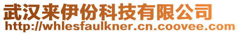 武漢來伊份科技有限公司