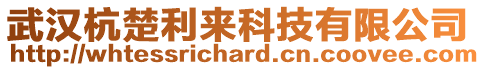 武漢杭楚利來科技有限公司