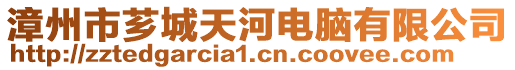 漳州市薌城天河電腦有限公司