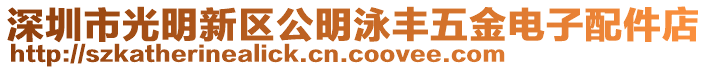 深圳市光明新區(qū)公明泳豐五金電子配件店