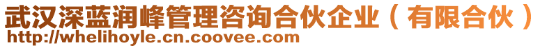 武漢深藍(lán)潤(rùn)峰管理咨詢合伙企業(yè)（有限合伙）