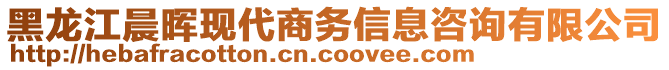 黑龍江晨暉現(xiàn)代商務(wù)信息咨詢有限公司