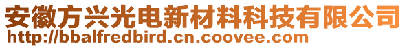 安徽方興光電新材料科技有限公司