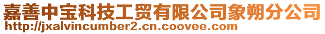 嘉善中寶科技工貿(mào)有限公司象朔分公司