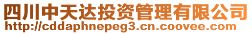 四川中天達(dá)投資管理有限公司