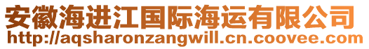 安徽海進(jìn)江國(guó)際海運(yùn)有限公司