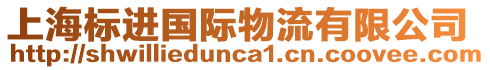 上海標(biāo)進(jìn)國(guó)際物流有限公司