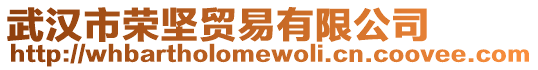 武漢市榮堅貿易有限公司