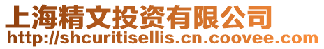 上海精文投資有限公司