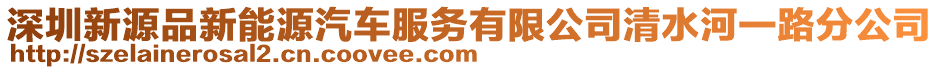 深圳新源品新能源汽車(chē)服務(wù)有限公司清水河一路分公司