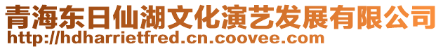 青海東日仙湖文化演藝發展有限公司