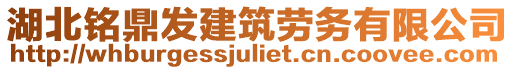 湖北銘鼎發(fā)建筑勞務有限公司