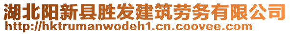 湖北陽新縣勝發(fā)建筑勞務(wù)有限公司