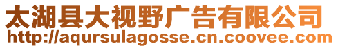 太湖縣大視野廣告有限公司