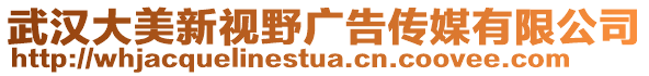 武漢大美新視野廣告?zhèn)髅接邢薰? style=