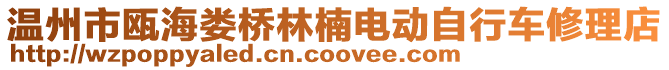 溫州市甌海婁橋林楠電動自行車修理店