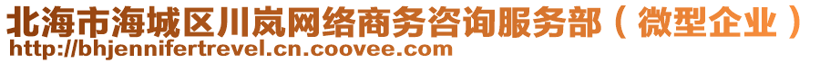 北海市海城區(qū)川嵐網(wǎng)絡(luò)商務(wù)咨詢服務(wù)部（微型企業(yè)）