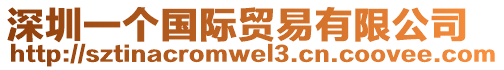 深圳一個(gè)國際貿(mào)易有限公司