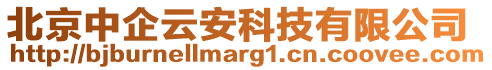 北京中企云安科技有限公司