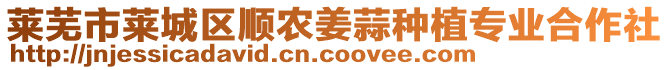萊蕪市萊城區(qū)順農(nóng)姜蒜種植專業(yè)合作社