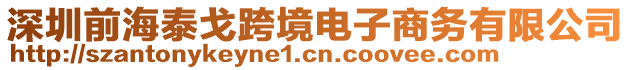 深圳前海泰戈跨境電子商務有限公司