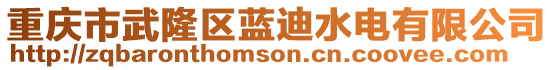重慶市武隆區(qū)藍(lán)迪水電有限公司