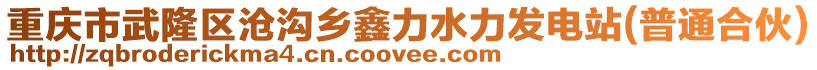 重慶市武隆區(qū)滄溝鄉(xiāng)鑫力水力發(fā)電站(普通合伙)