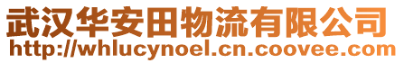 武汉华安田物流有限公司