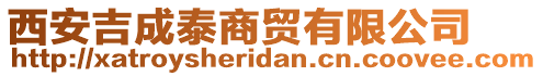 西安吉成泰商贸有限公司