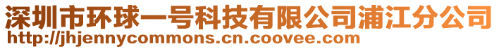深圳市環球一號科技有限公司浦江分公司