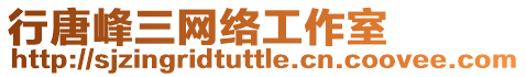 行唐峰三網(wǎng)絡(luò)工作室