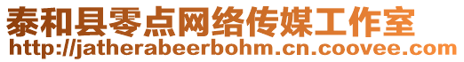 泰和縣零點(diǎn)網(wǎng)絡(luò)傳媒工作室