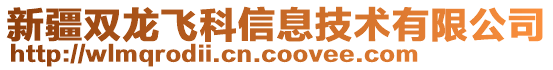 新疆雙龍飛科信息技術有限公司