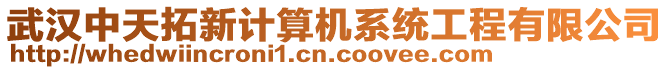 武漢中天拓新計算機(jī)系統(tǒng)工程有限公司