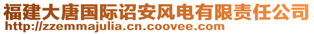 福建大唐國際詔安風電有限責任公司