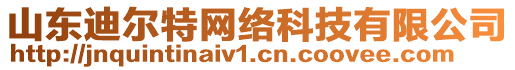 山東迪爾特網(wǎng)絡(luò)科技有限公司