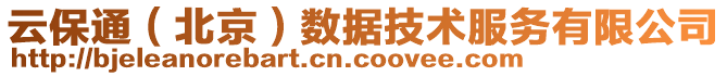 云保通(北京)數據技術服務有限公司