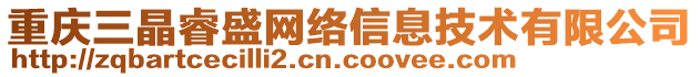 重慶三晶睿盛網絡信息技術有限公司