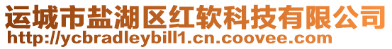 運(yùn)城市鹽湖區(qū)紅軟科技有限公司