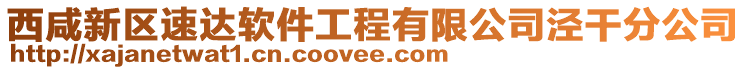 西咸新區(qū)速達軟件工程有限公司涇干分公司