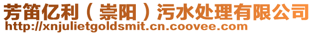芳笛億利（崇陽）污水處理有限公司