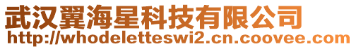 武漢翼海星科技有限公司