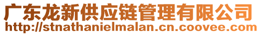 廣東龍新供應(yīng)鏈管理有限公司