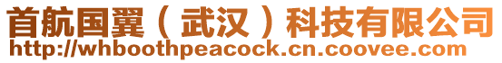 首航國(guó)翼(武漢)科技有限公司